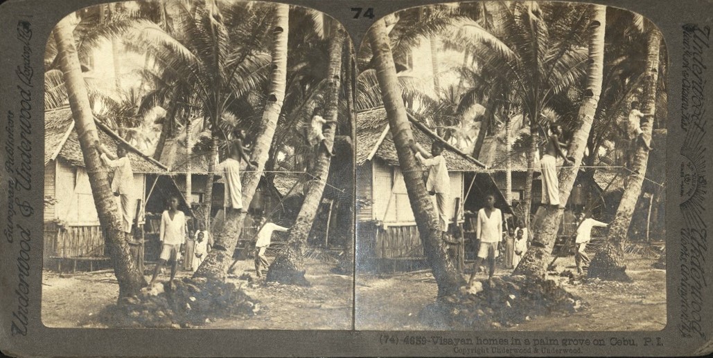 Visayan homes in the palm grove on Cebu, P. I.